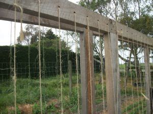 trellis trial|Trellis .